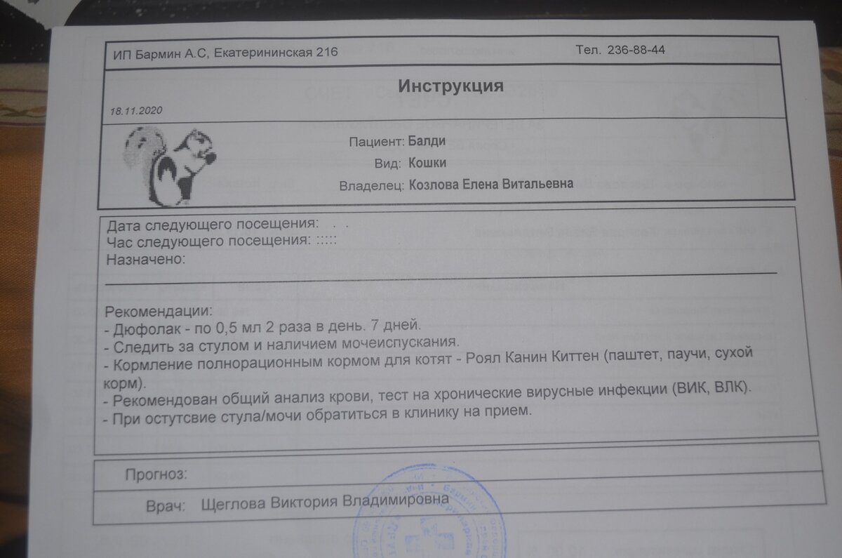 Балди вместо анализов крови получил клизму и узи с рентгеном. Погиб. |  ЯЖИВОЙ Дзен - спасенные животные в добрые руки г.Перми и Пермского Края 59  регион | Дзен