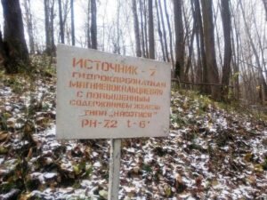 Целебный источник