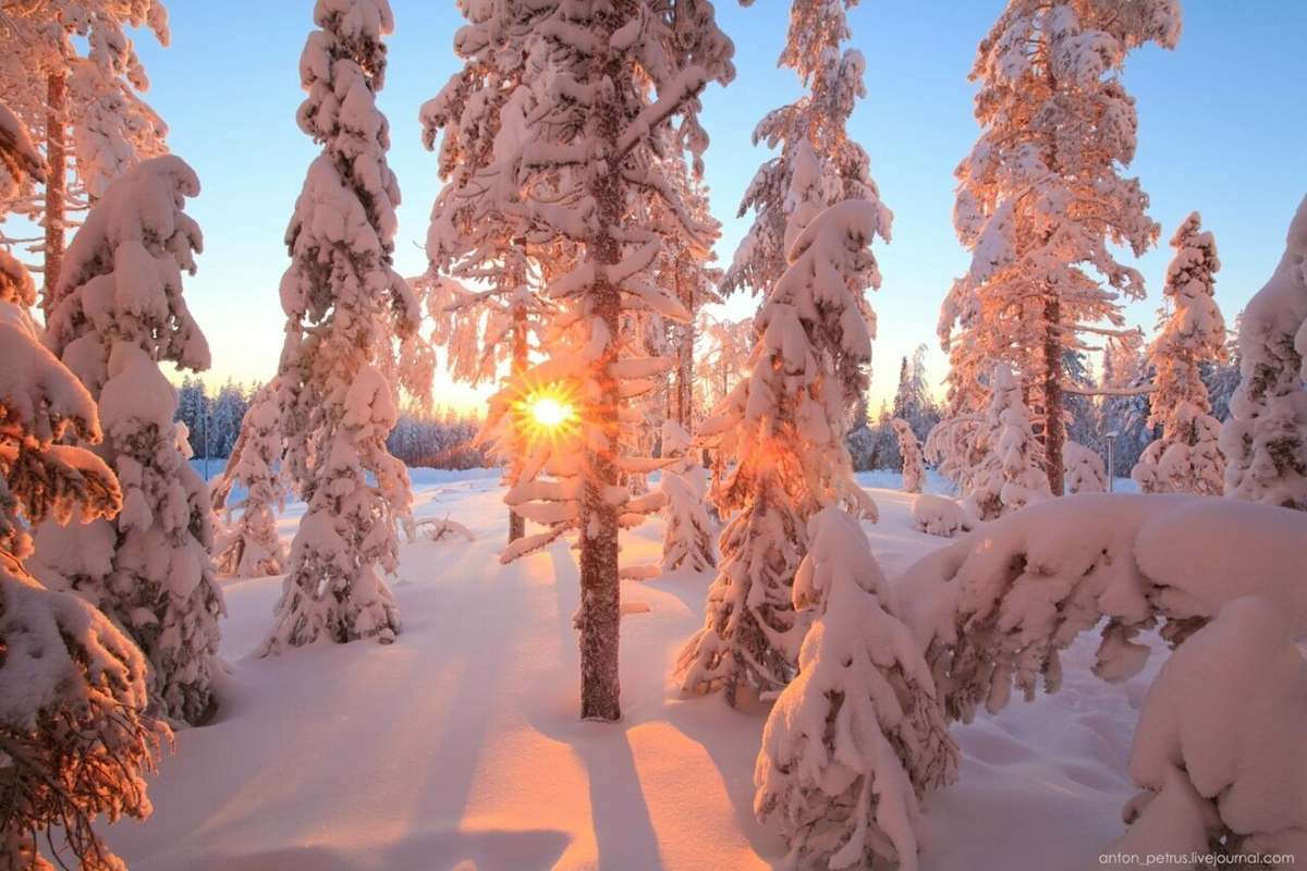 Природа зима красота. Зимняя природа. Красивая зима. Красота зимы. Красивая зимняя природа.
