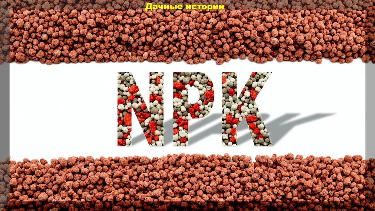 https://vk.com/photo-159774511_457244849