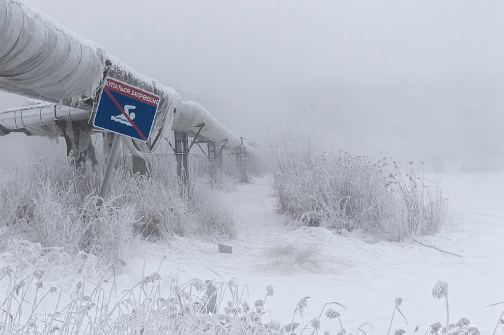 Фото взято из открытого источника Flickr.com у пользователя Mikhail Mikhailov