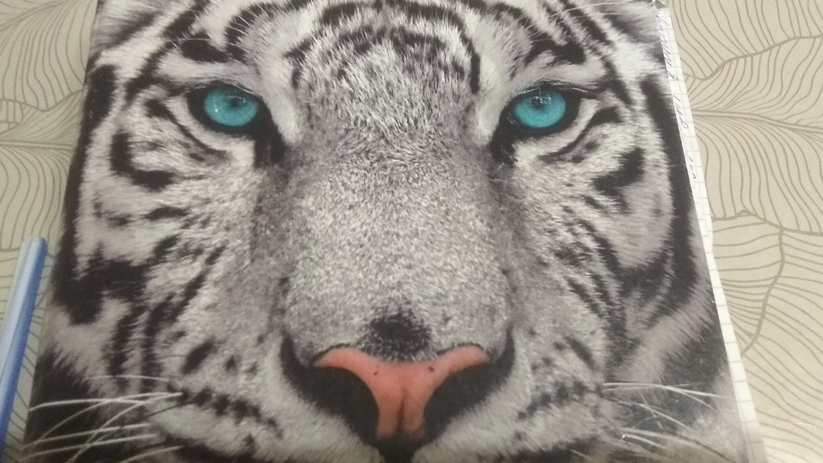 За этими глазами Море и Океан идей, стоит только перевернуть страницу!