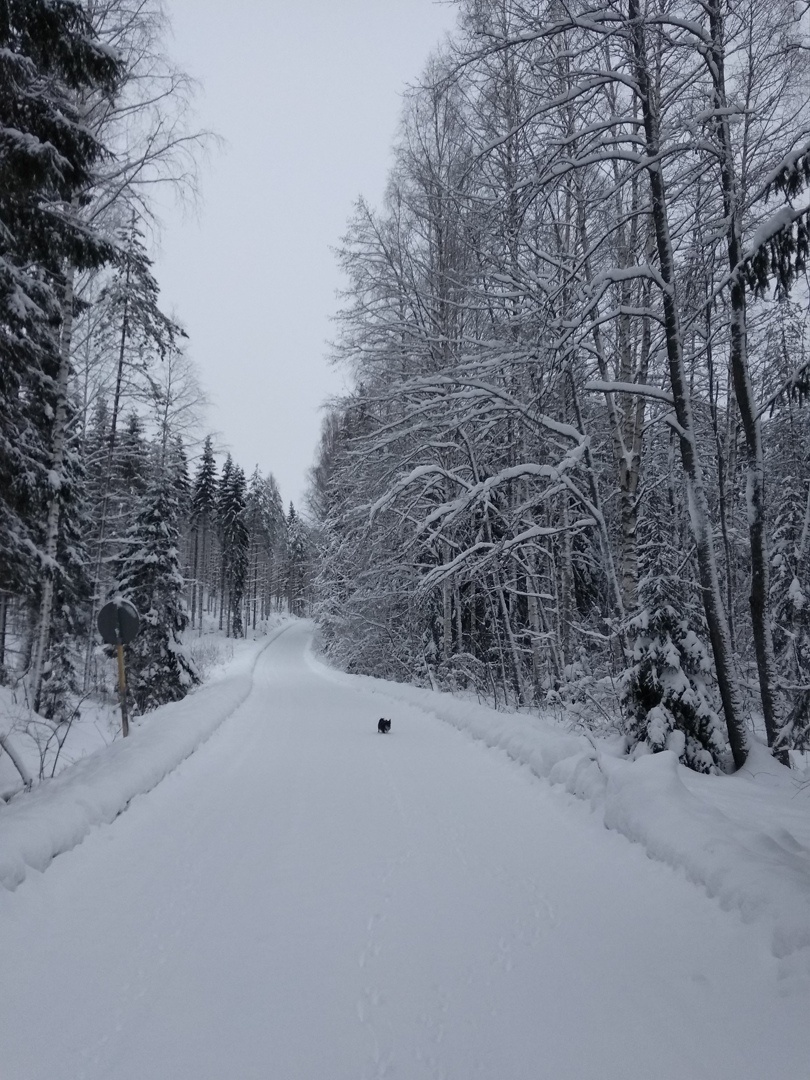 Даже самые маленькие финские дороги зимой тщательно расчищены