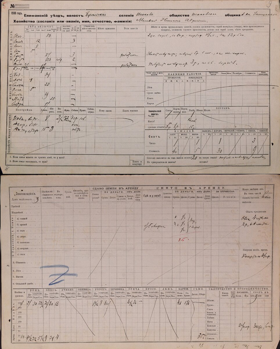 Перепись 1900 г. 