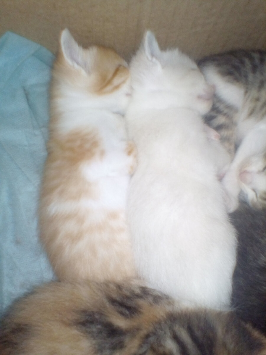 Спим с сестренкой.