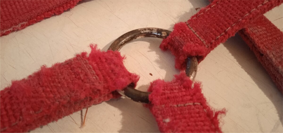 Тут видно, что недолго осталось, уже перетирается. Фото автора