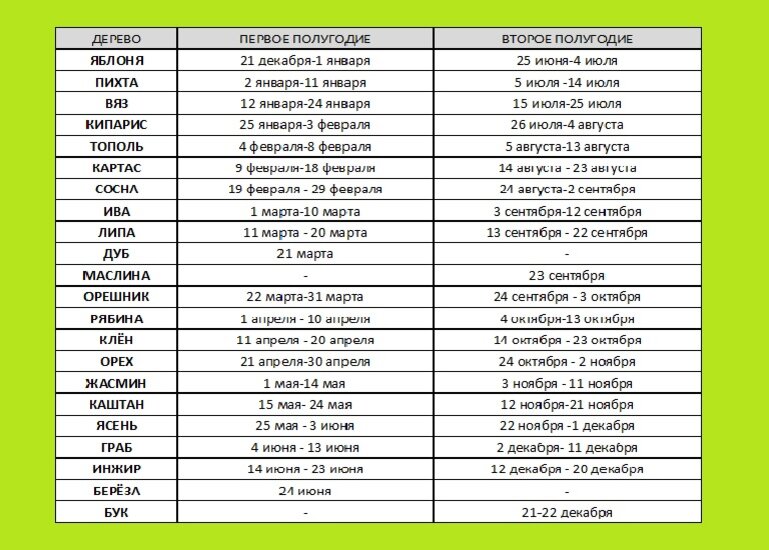 Гороскоп деревьев по дате. Дерево покровитель по дате рождения. Гороскоп друидов по деревьям. Гороскоп деревьев по дате. Гороскоп деревьев по дате.