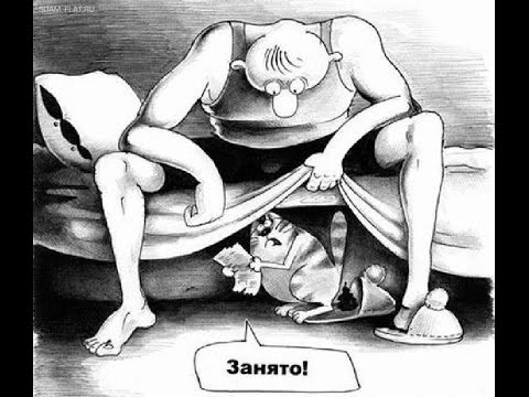 С просторов WWW