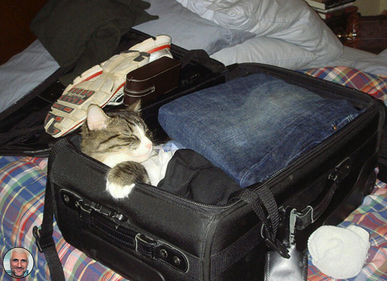 Котик Васька, тоже помогает собрать багаж, чтобы я ничего не забыл