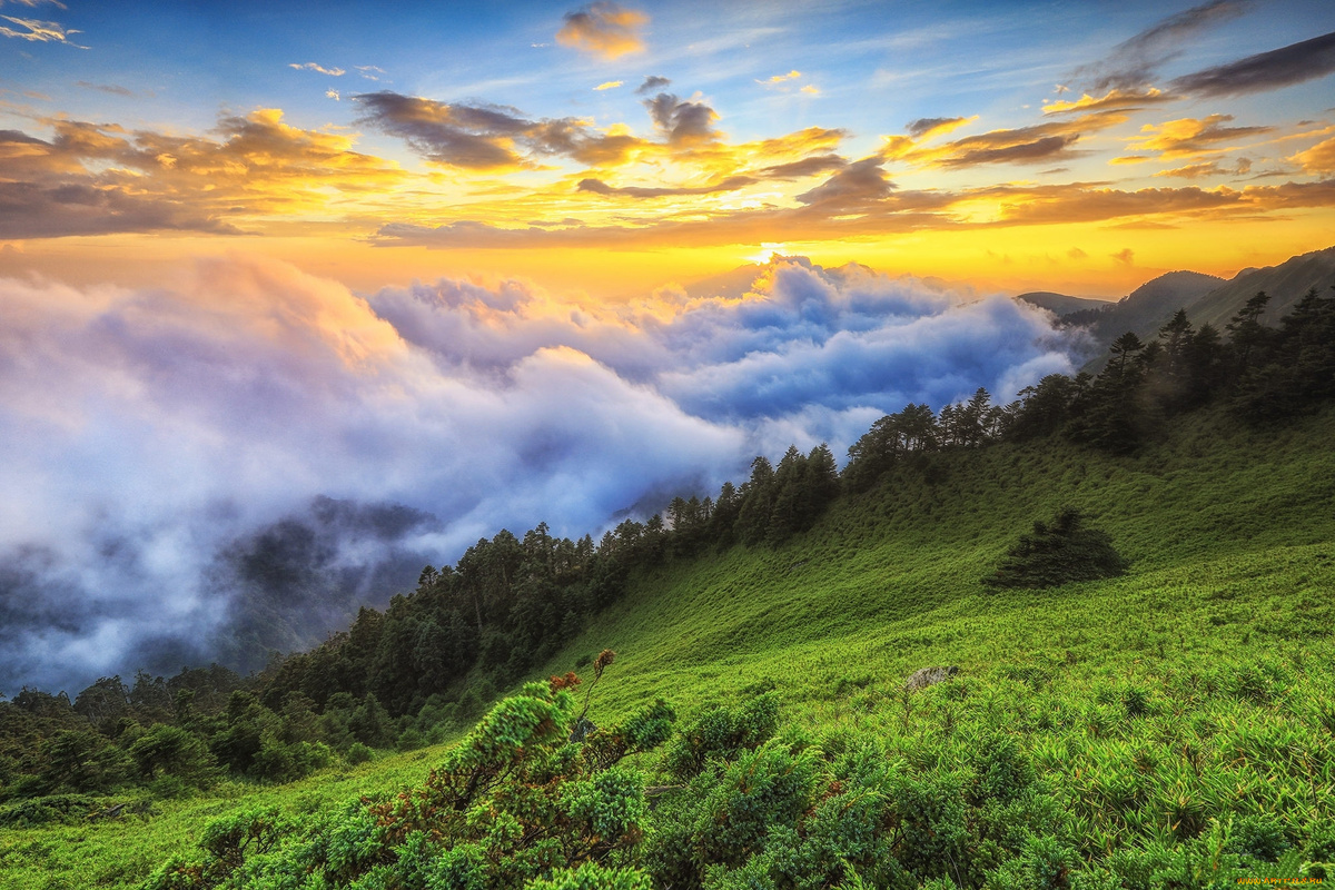 Источник: xxx.artfile.ru