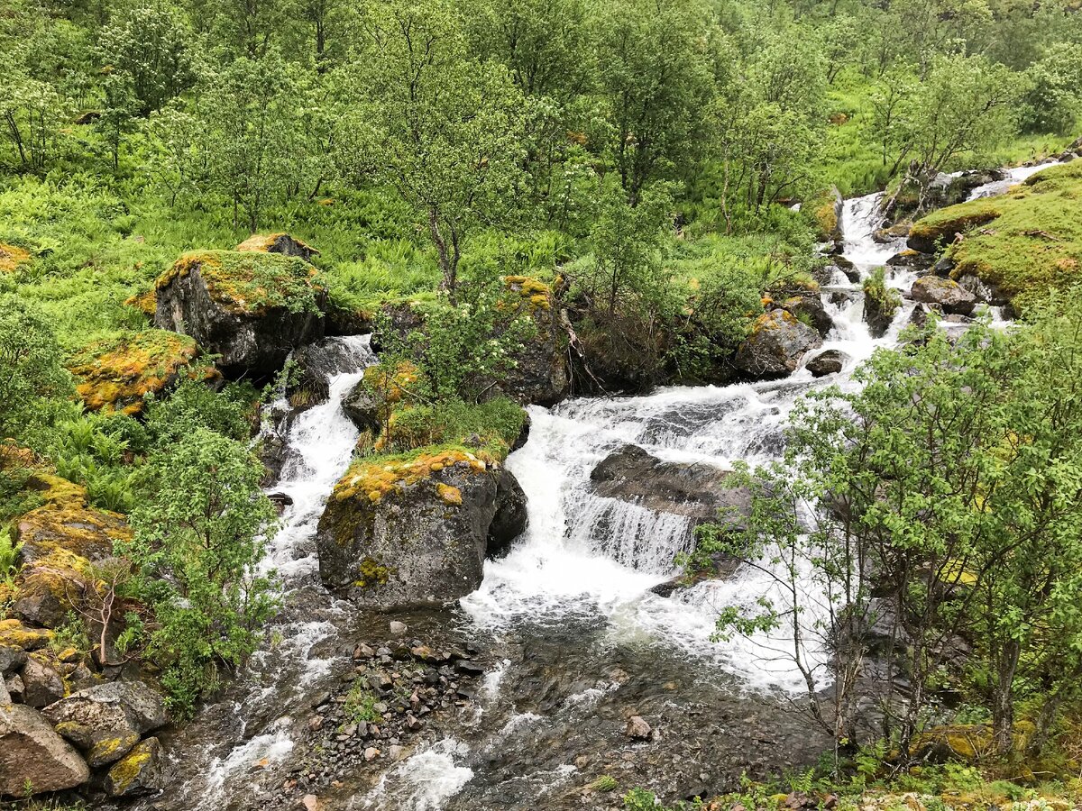 Scandinavian travel Часть 2. Senja и Andoya