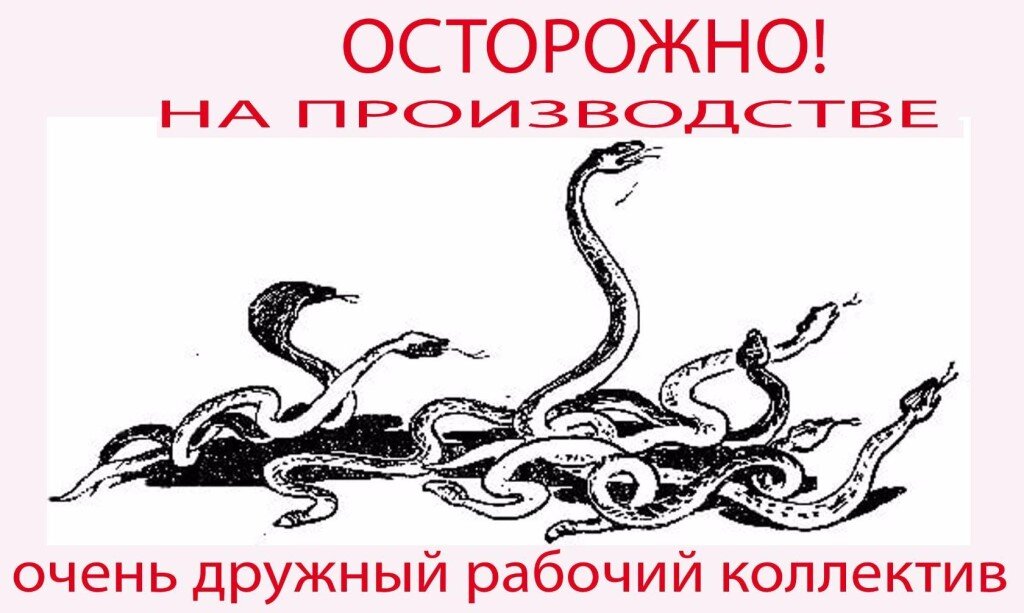 Нет ничего ядовитей на свете чем дружный женский коллектив картинка