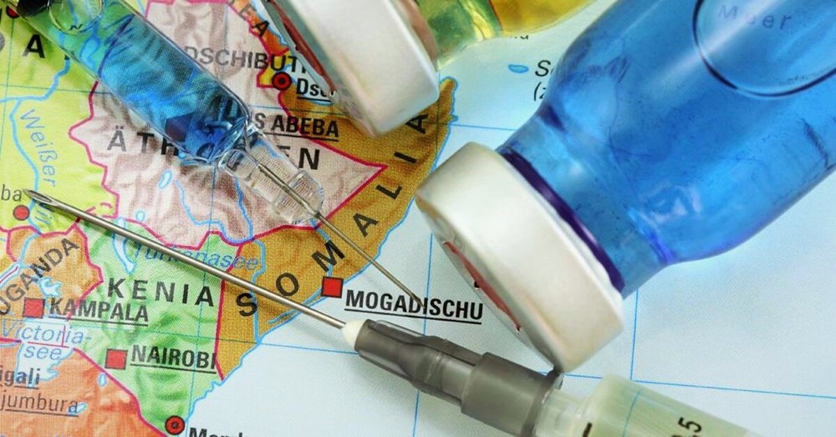 Фото Яндекс картинки.