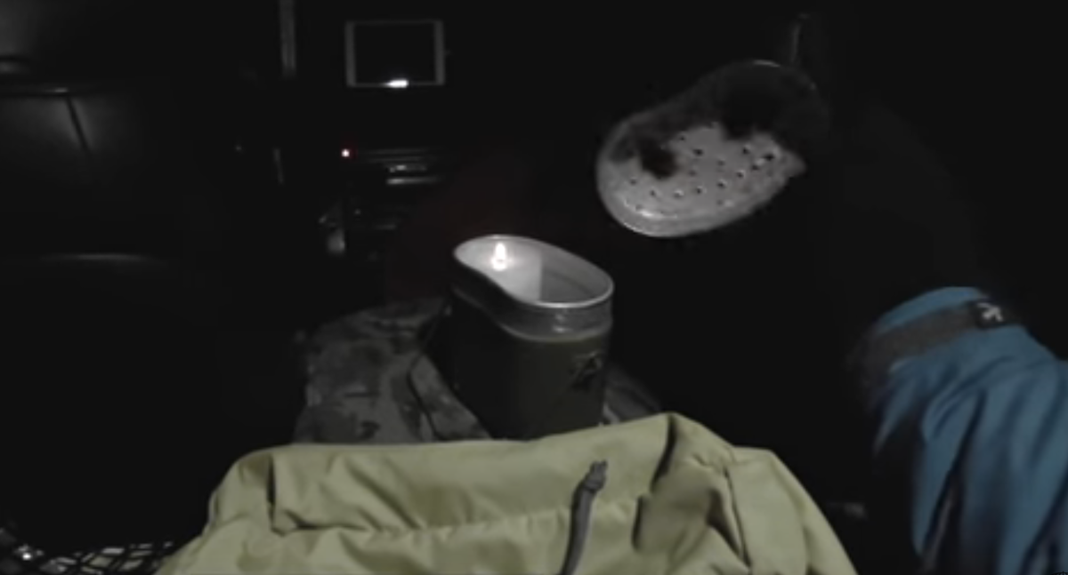 охота на волка котельнич кировская область. волки в кировской области 2021. 5 миллиона. охотятся сутки если выживет получит 24. охотятся сутки если выживет получит 24.