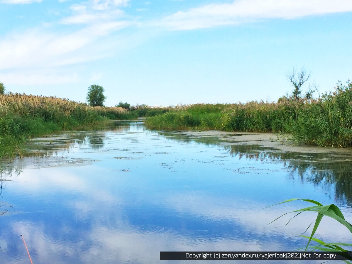 Сейчас это вонючее болото покрытое тиной и водорослями.