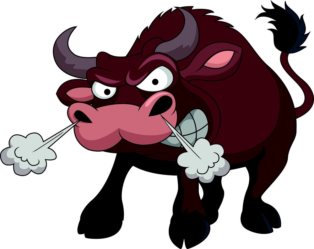 
 Фото: https://dynamicpickaxe.com/angry-cartoon-bulls-clipart.html