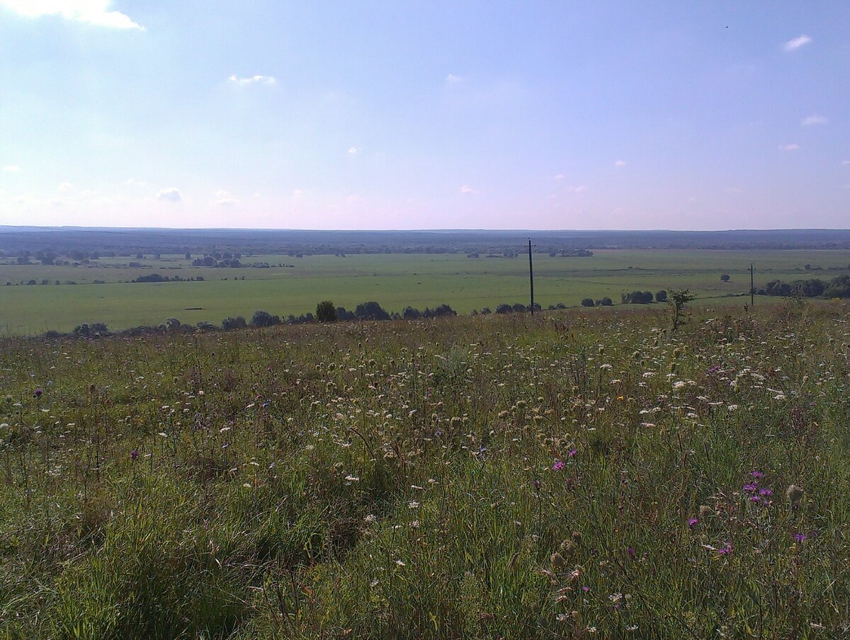 Фото из личного архива. Поездка на Чертово городище. Вставлено в конкурсную работу.