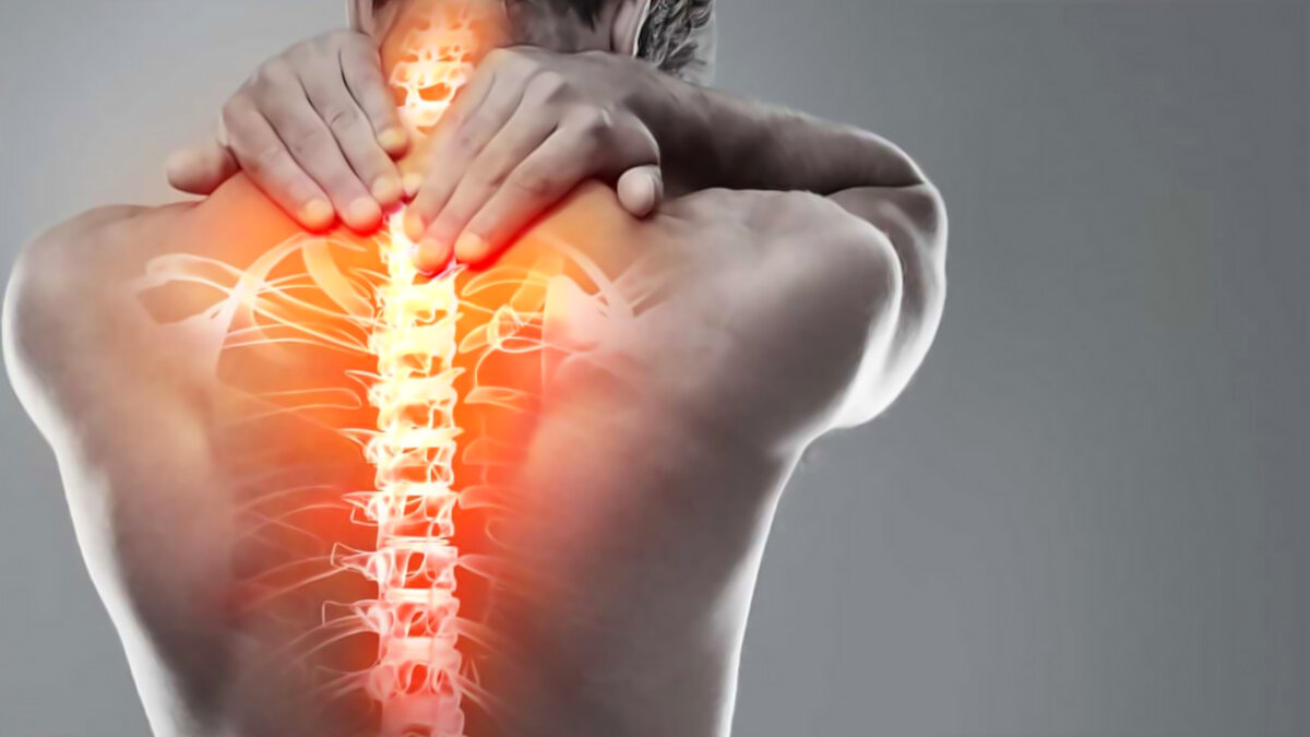 Позвоночник