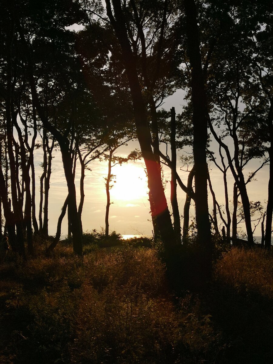Фото взято из личного архива. Поселок Лесной. Закат солнца на Балтийском море 