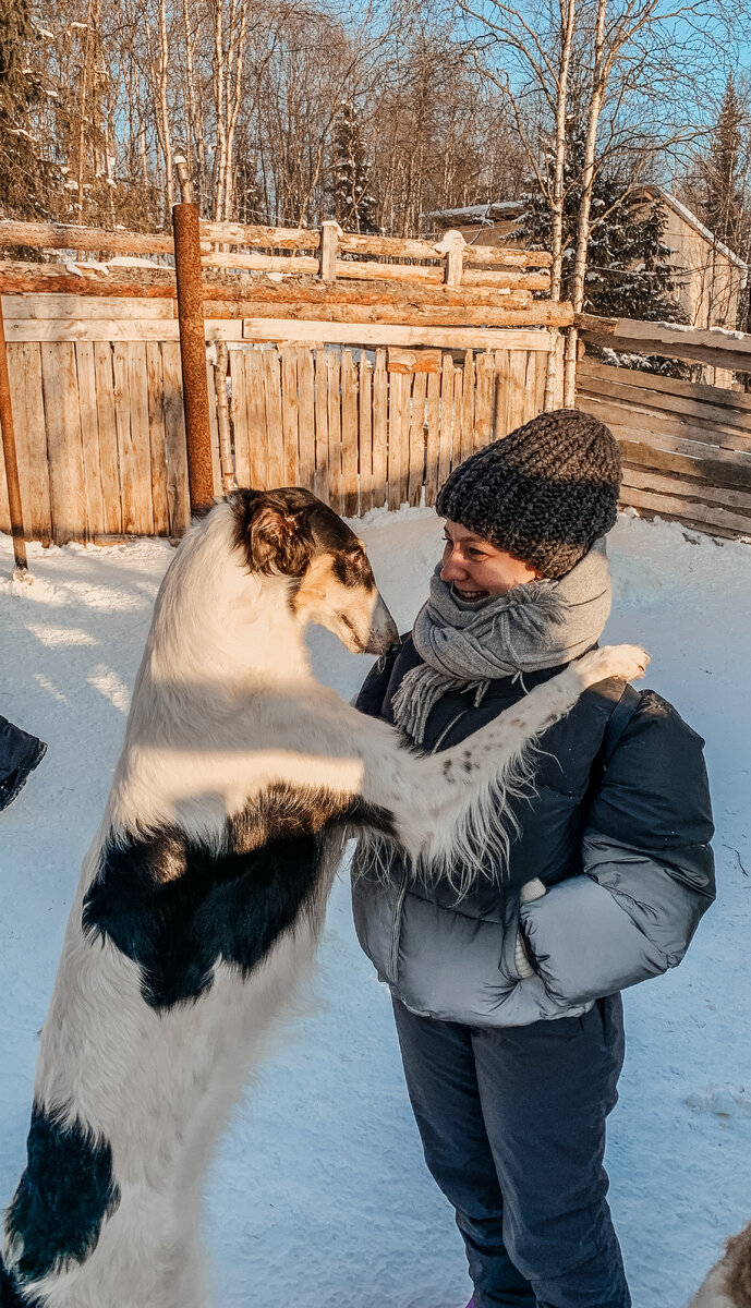 Борзое приветствие:)