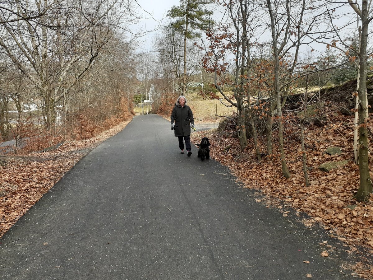 Хозяева выгуливают собак и берут для этой цели с собой специальные черные пакеты. Фото автора.
