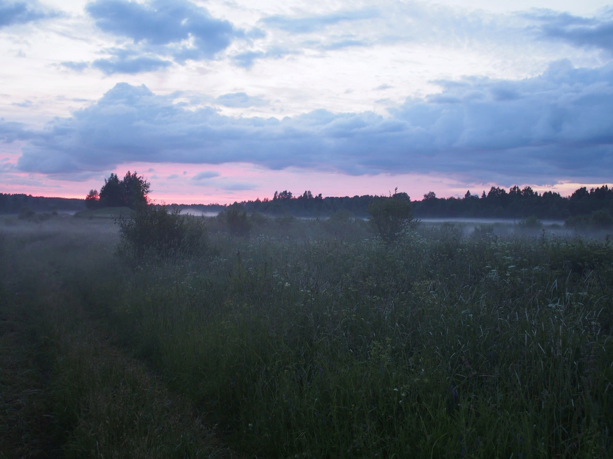 пейзаж в далеке. слева вдалеке. финский залив осень. поле с дорогой. слева вдалеке.