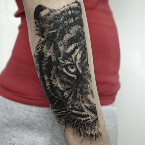 О татуировке тигров
