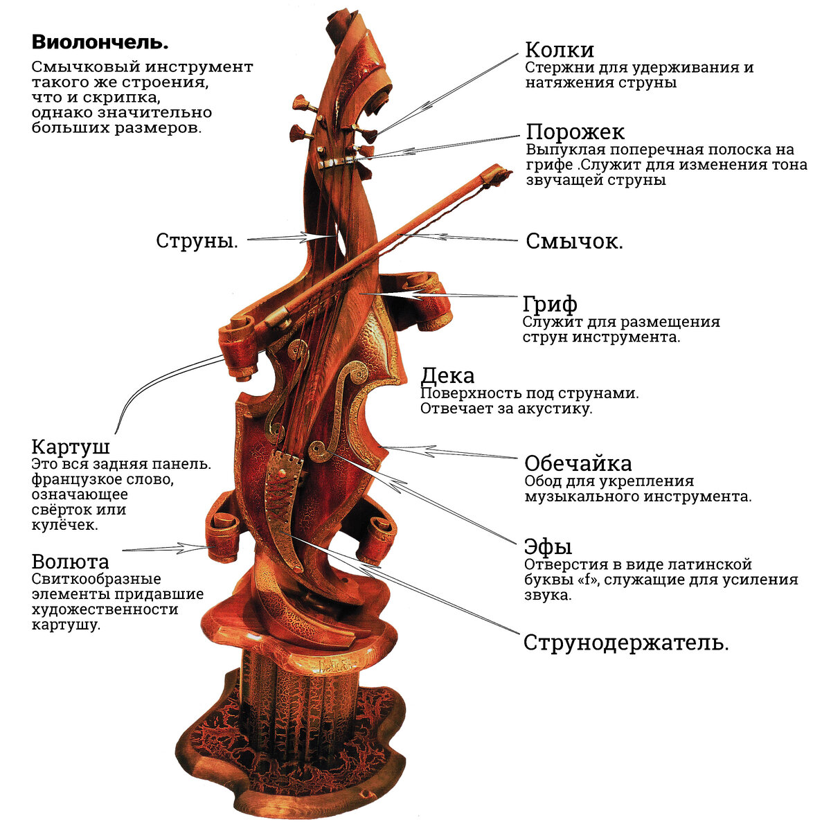 Виолончель строение инструмента схема