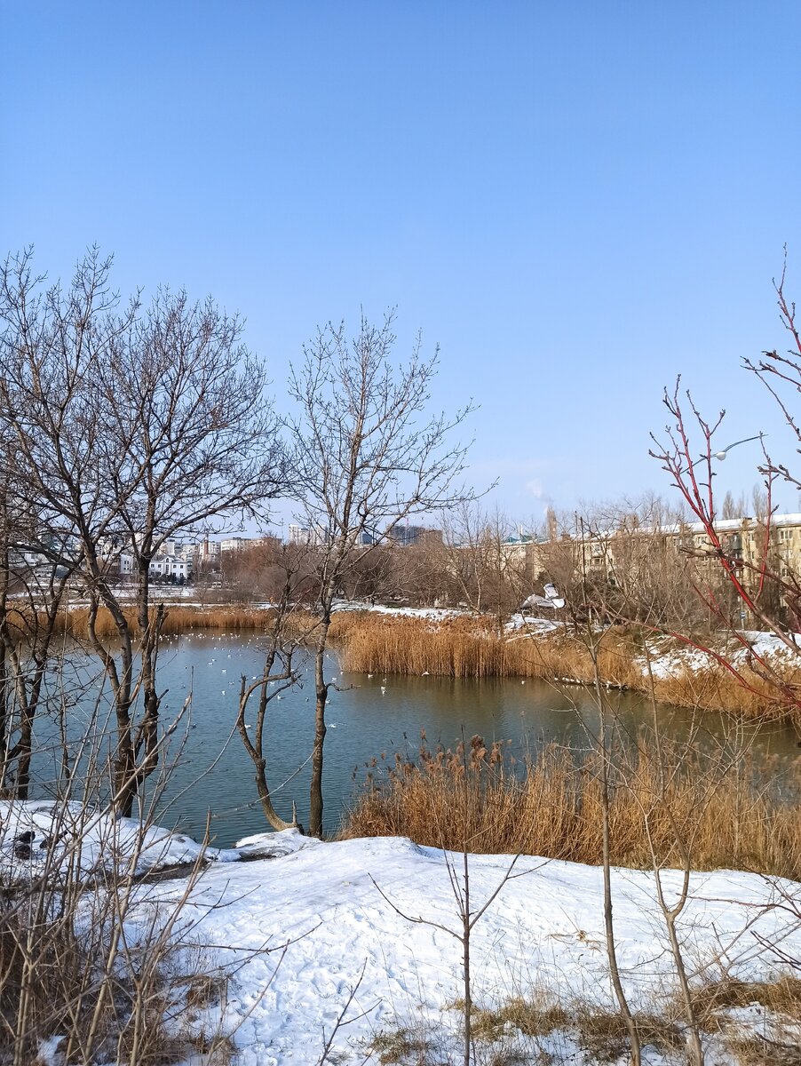 Снег выпал ближе к  Крещению, температура опустилась днем до -5