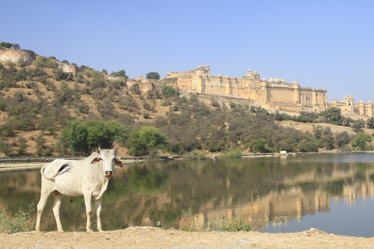 Фото автора. На фото не автор.