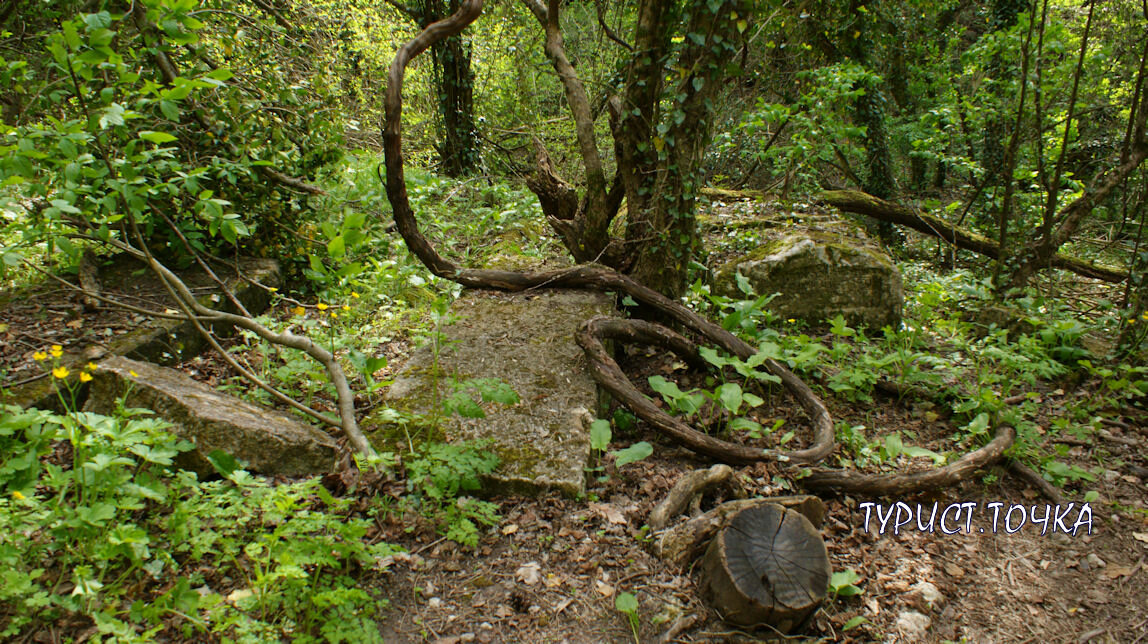 Выглядит жутковато