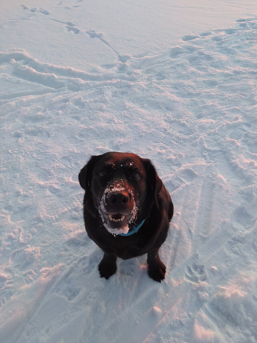 Солнце на носу