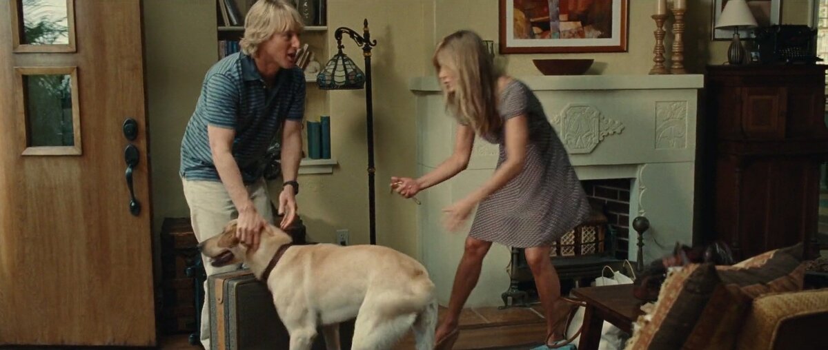 При разводе споры о домашних животных может решить брачный договор 