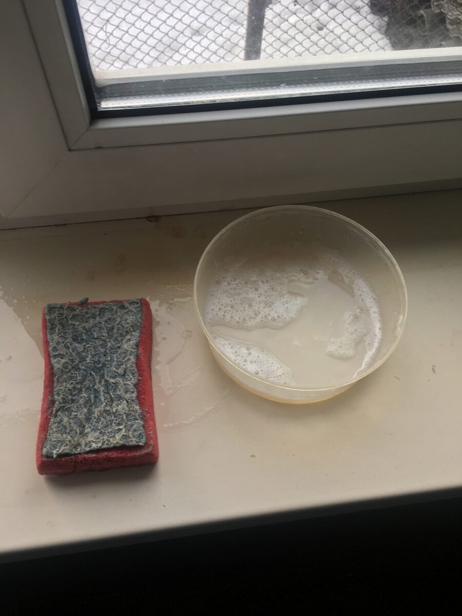 Можно использовать пластмассовые миски под жидкое мыло