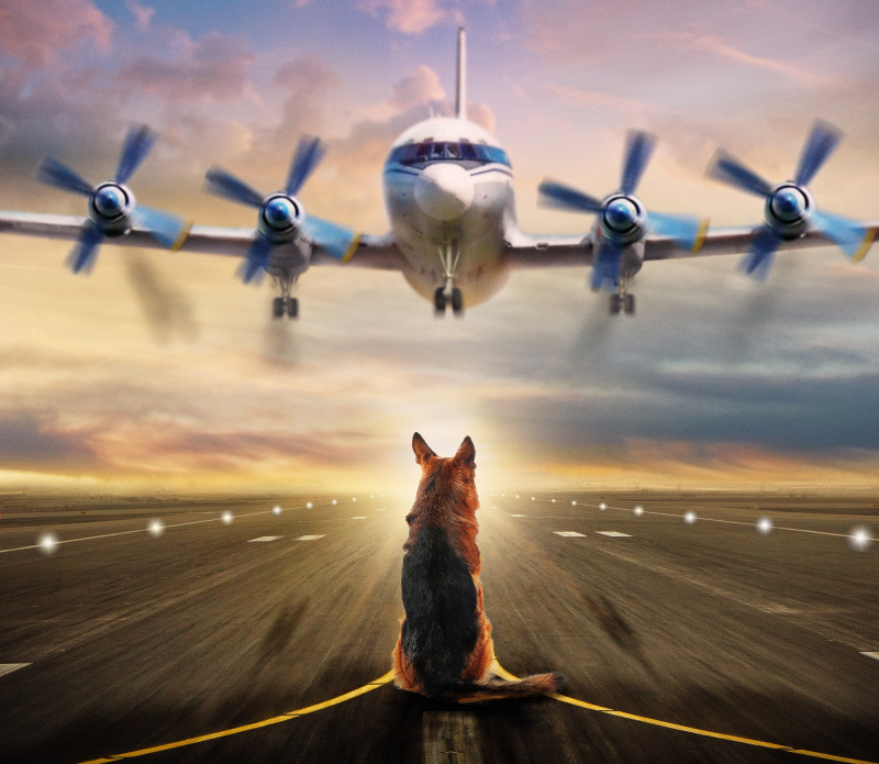 видео взято из: https://moviestart.ru/2020/07/23/samye-ozhidaemye-filmy-vtoroj-poloviny-2020/ 