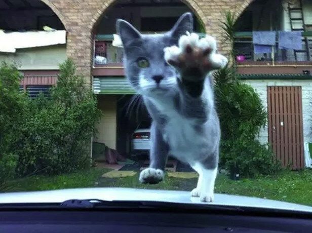 Источник: pinterest.com