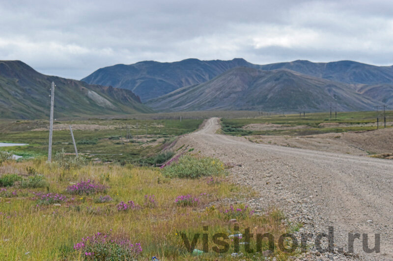 Здесь нет места подлости