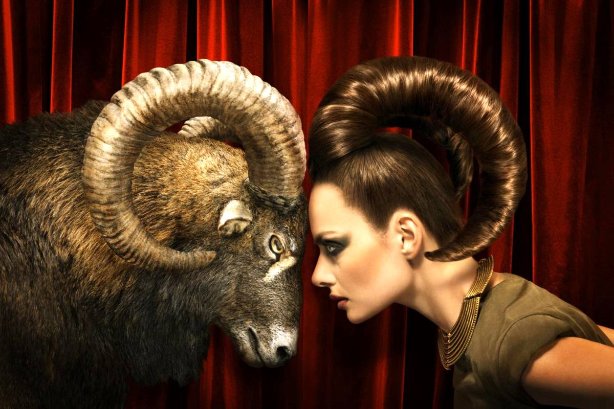 Переспорить барана невозможно.