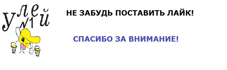 Как мы стали пчеловодами? Часть1.