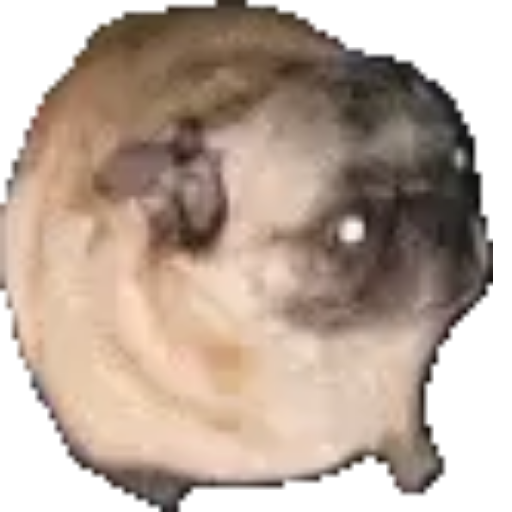 Просто собачка АХАХАХХАХАХ