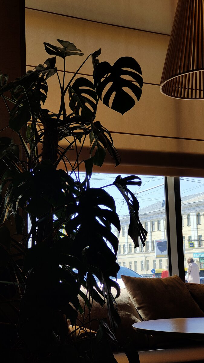 Вид на окно в суши-кафе Сушивёсла. Личная фотография блоггеров "Море мыслей"