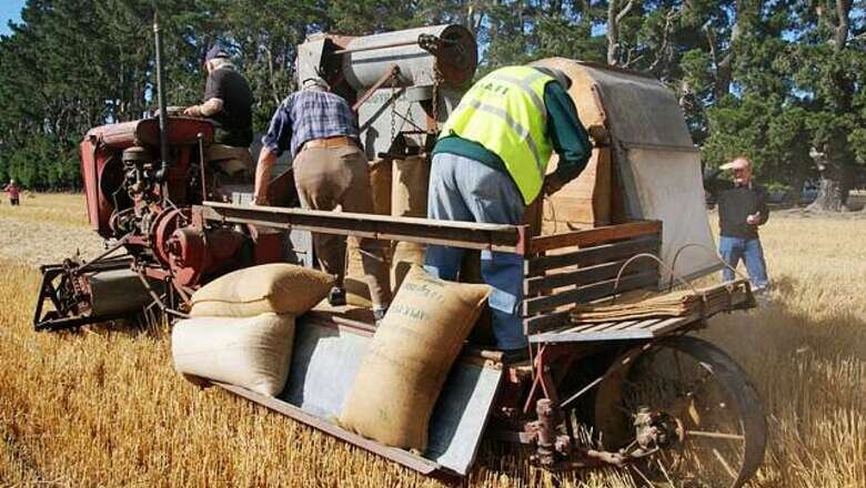 Фото: pxhere.com