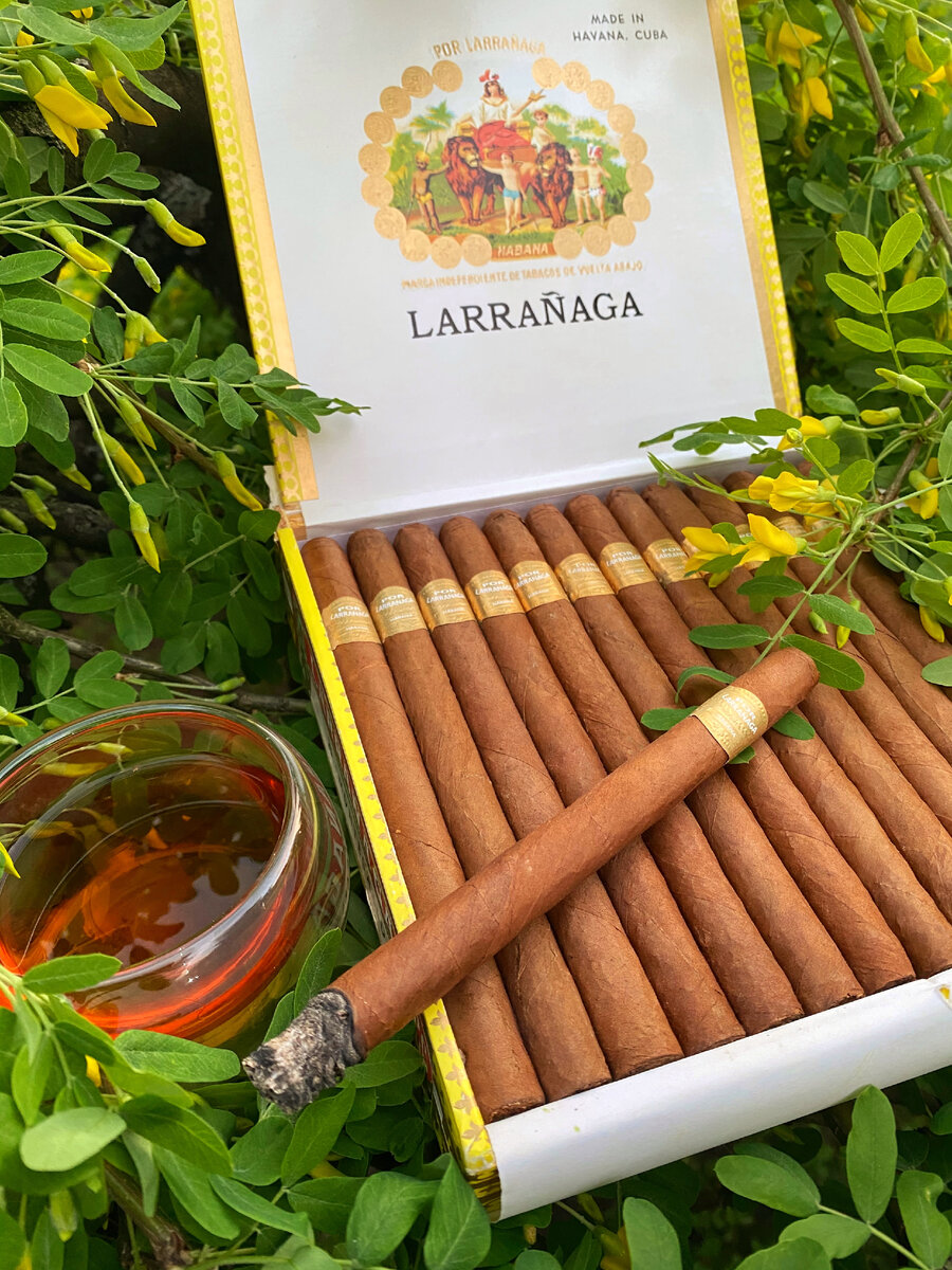 Сигара Montecarlo входит в очень небольшое число витол, имеющих свой клуб почитателей. Поклонники советуют выбирать выдержанные экземпляры.