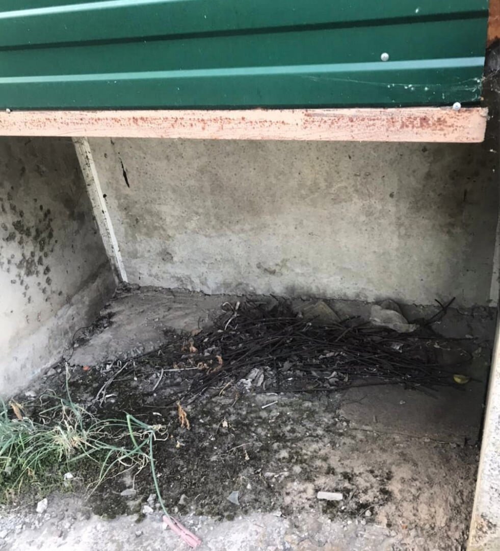 Под этим балконов Злата выжила зимой и встретила весну (дрова и доски все убрали)