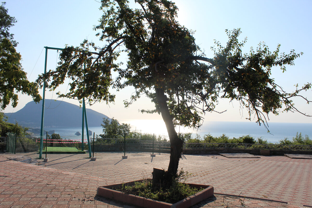 Ранним утром.