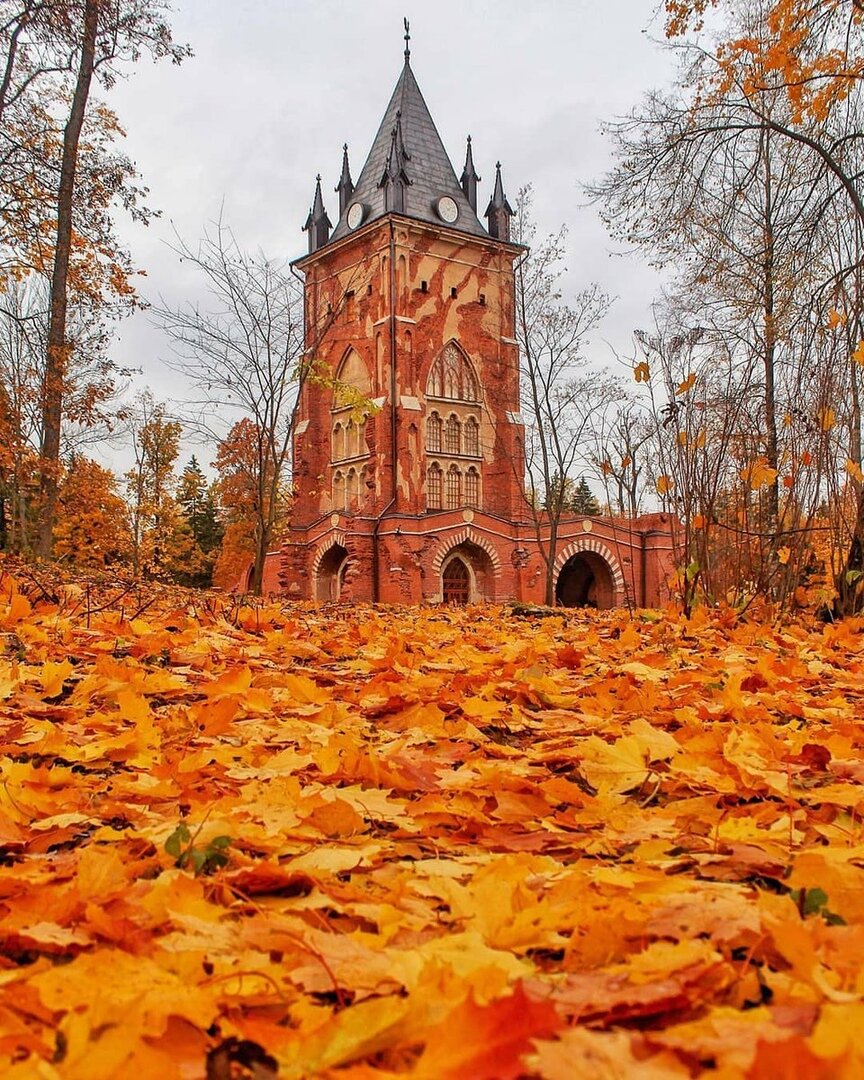 александровский парк в царском селе