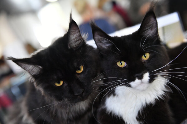 Фото: Наталья Селиверстова/РИА Новости