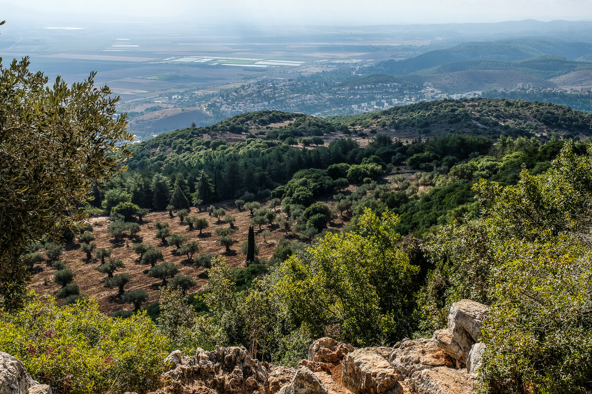 Земля Ханаана такой, какой мы видим ее сегодня. Гористые районы Галилеи, возвышаются к северу отсюда, пролегая через покрытую растительностью равнину.
Источник фото-сайт: https://clck.ru/YddYS