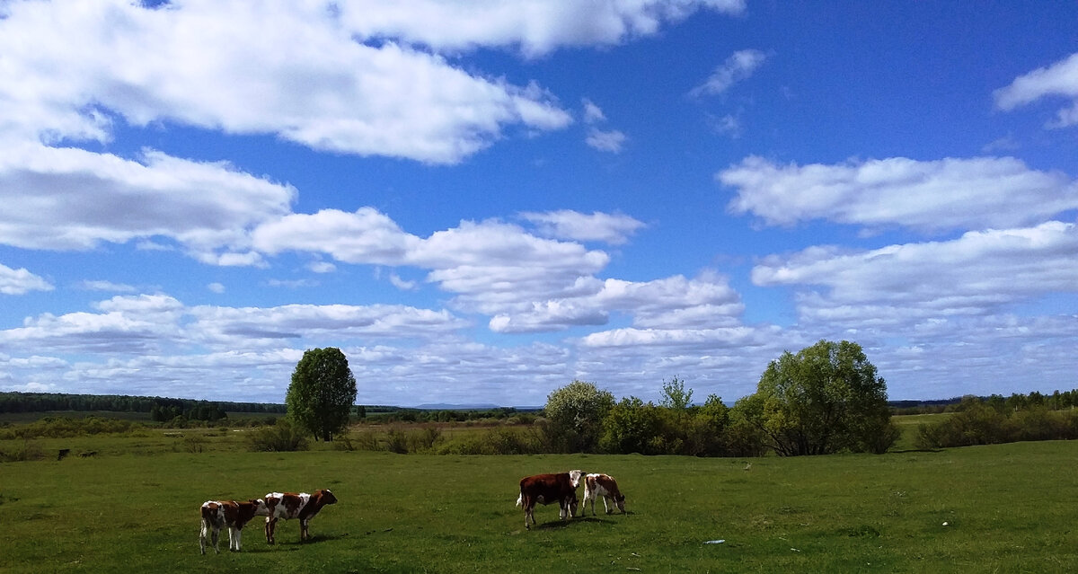Вот эта"экзотика" нам, городским, тогда тоже очень понравилась