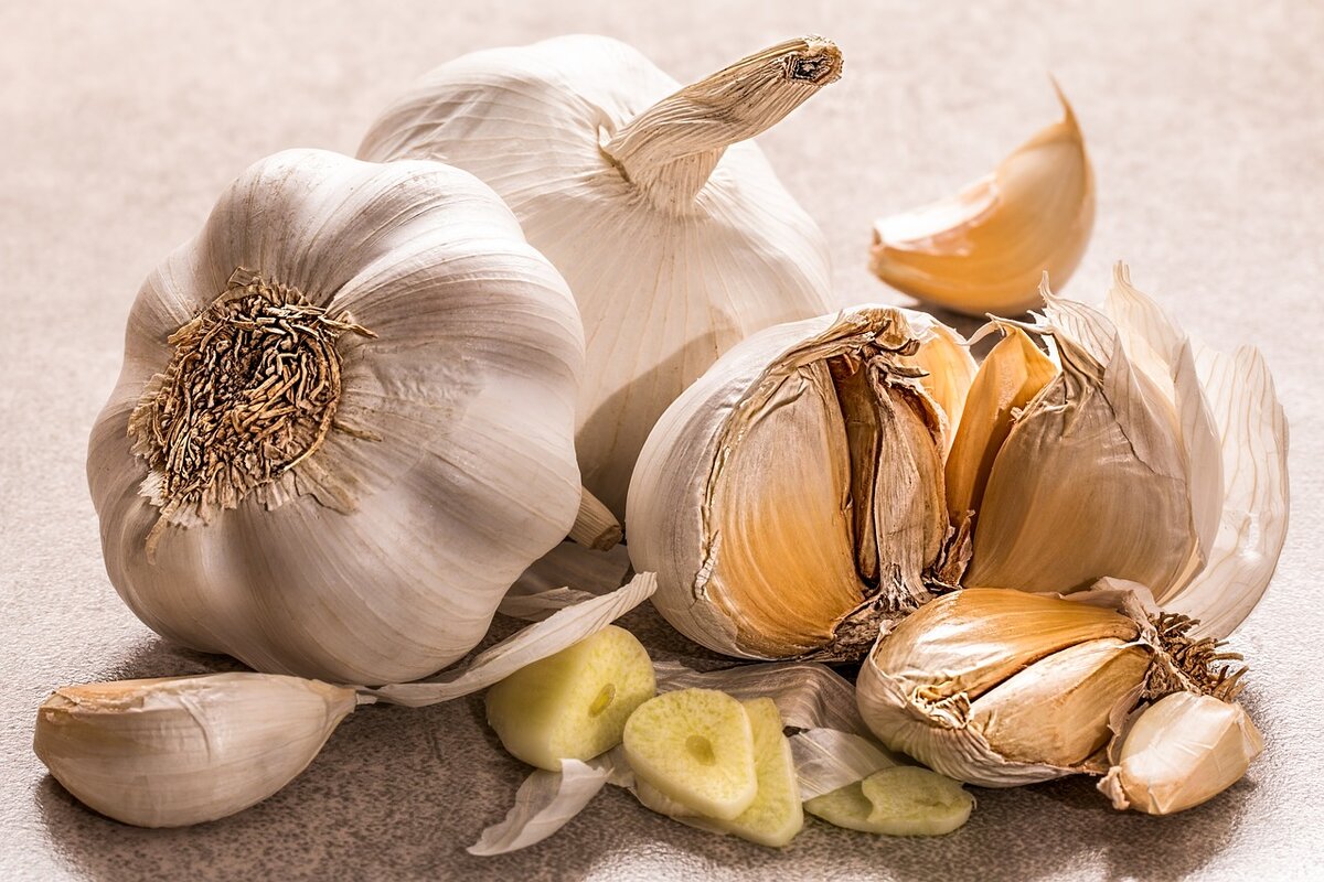 Высадку озимого чеснока лучше завершить до конца декабря. Фото: Pixabay.com 
